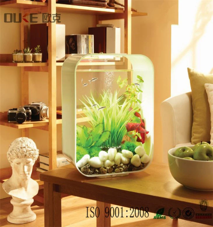 Best Selling Custom Clear Acrylic Cylinder Aquarium